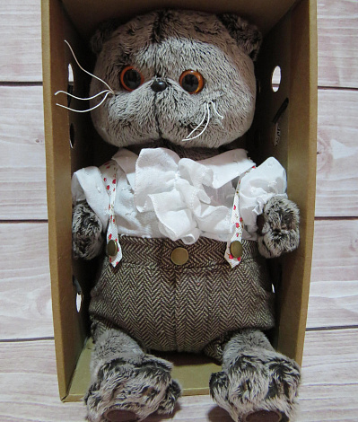 Кот Басик романтик