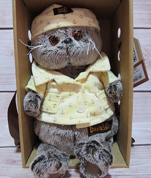 Кот Басик в пижаме