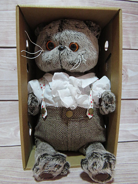 Кот Басик романтик