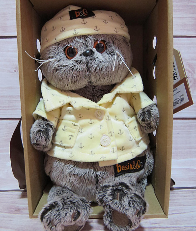 Кот Басик в пижаме